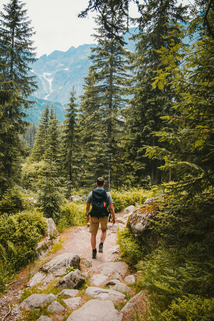 Mountain trail path